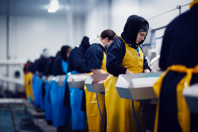 Fillet line with production employees