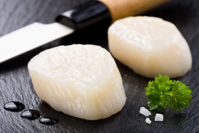 Raw scallops on slate